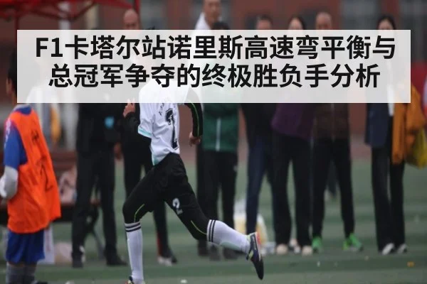 F1卡塔尔站诺里斯高速弯平衡与总冠军争夺的终极胜负手分析